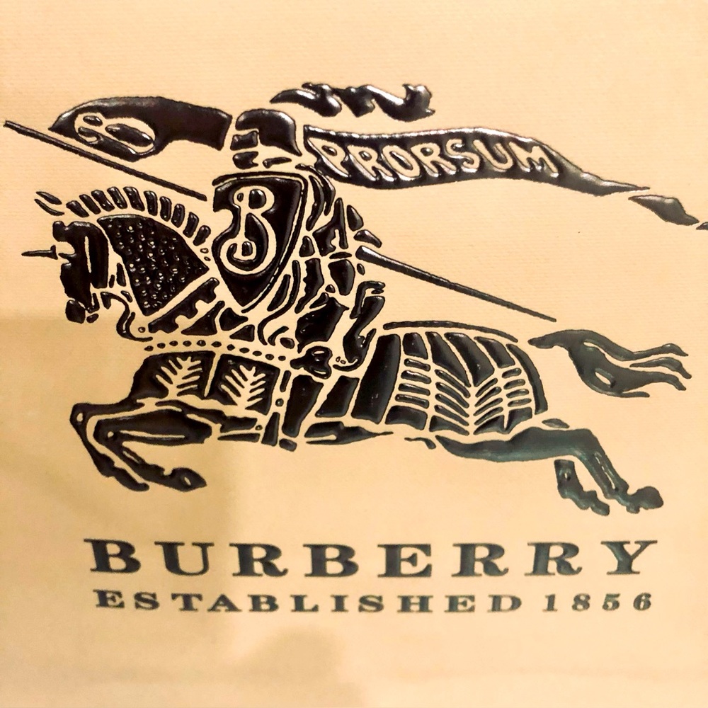 Burberry Authentic Logo Paper Bag.